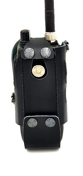 Pokrowiec etui do President Randy III / Jerry