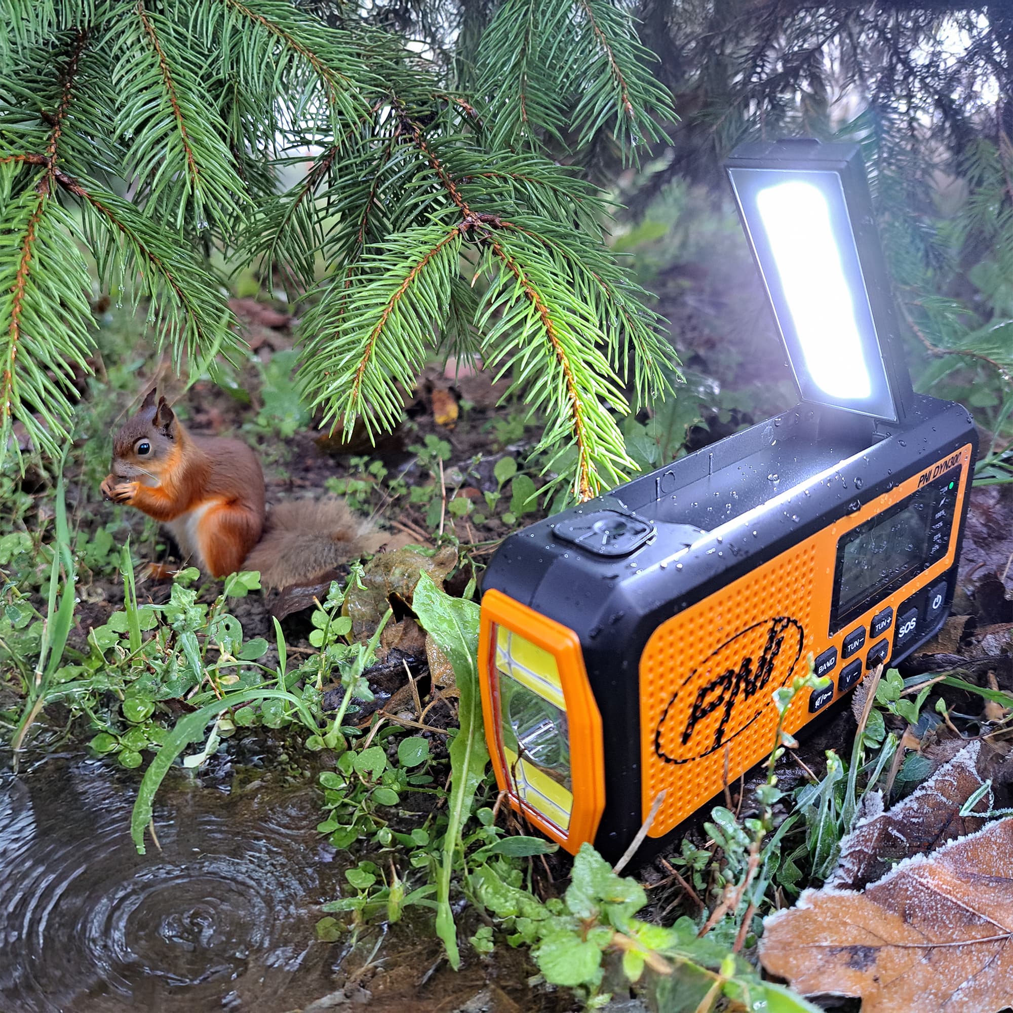 PNI DYN300 przenośne radio awaryjne AM/FM/SW, dynamo, latarka LED, powerbank 4000mAh - radio dla preppersa, survival